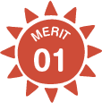 MERIT 01