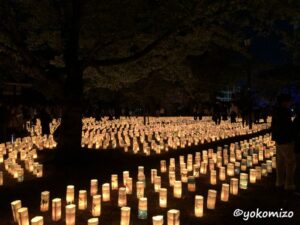 小倉城竹あかり