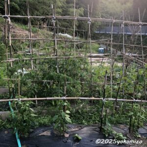 畑 有限会社横溝工務店